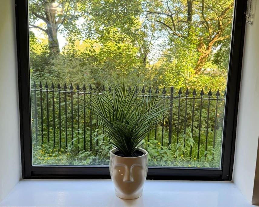 Polly'S Place Apartment Taunton & Free Off Road Parking & Wifi Luaran gambar